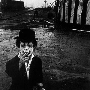 Foto de perfil de Sarah