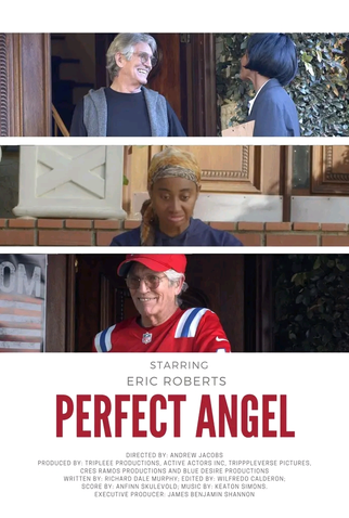 Poster 1 de Curta The Perfect Angel (2024)