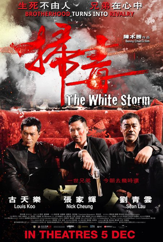 Poster 3 de Filme Tempestade Branca (2013)