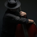 Foto de perfil de Moyses Weltmann