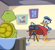 Donald's Shell Shots