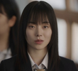 6회