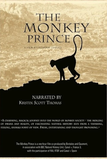 The BBC: Natural World - The Monkey Prince - Poster / Capa / Cartaz - Oficial 1