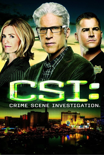 CSI: Investigação Criminal  (15ª Temporada) - Poster / Capa / Cartaz - Oficial 3