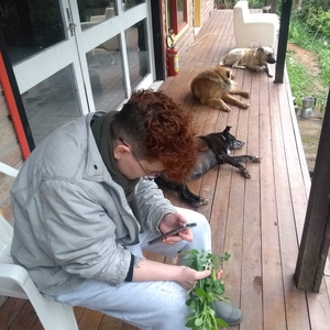 Foto de perfil de acfscoob