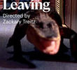 We’re Leaving