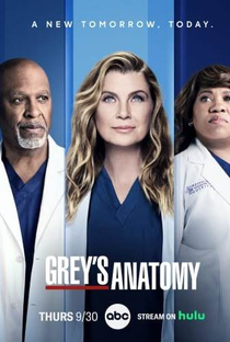 Grey's Anatomy (18ª Temporada) - Poster / Capa / Cartaz - Oficial 2