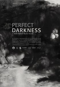 Perfect Darkness (Perfect Darkness)