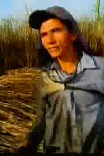 Poster de Curta "BÓIA-FRIA"  (1986)