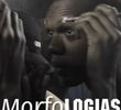 Morfologias