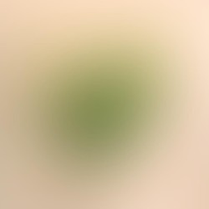 Foto de perfil de yasmin