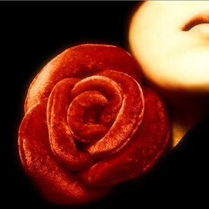 Foto de perfil de Beatriz Neves