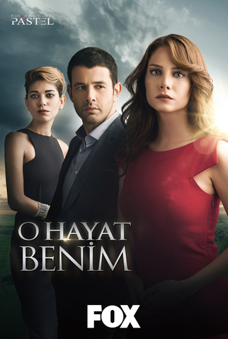 Poster 3 de TV Minha Vida (2014)