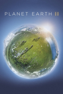 Planeta Terra (2ª Temporada) - Poster / Capa / Cartaz - Oficial 1