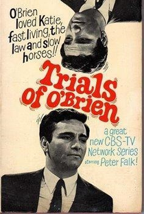 The Trials of O'Brien (1ª Temporada) - Poster / Capa / Cartaz - Oficial 1
