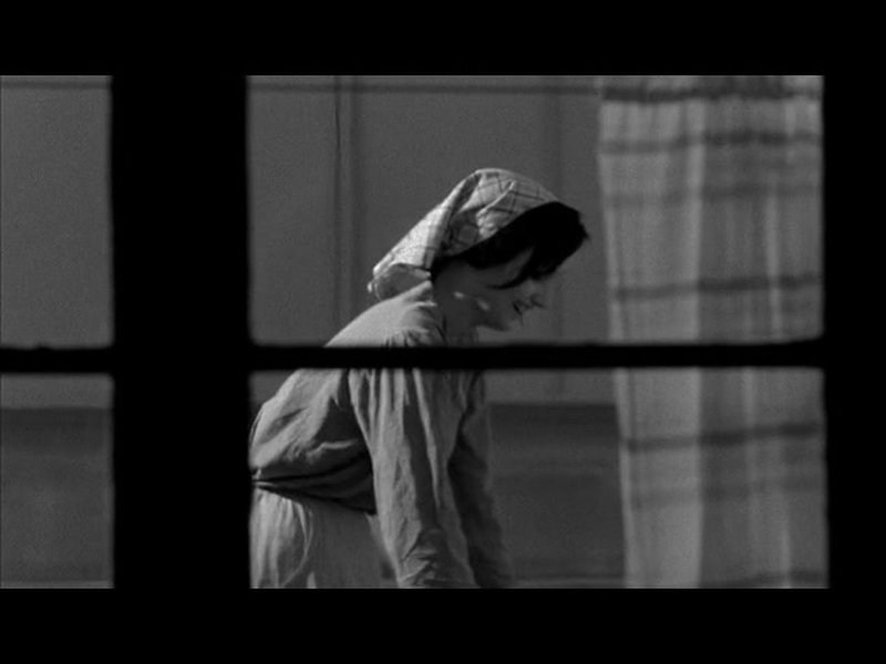 Foto 17 de Here Is Your Life