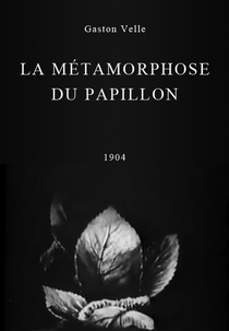 La métamorphose du papillon (La métamorphose du papillon)