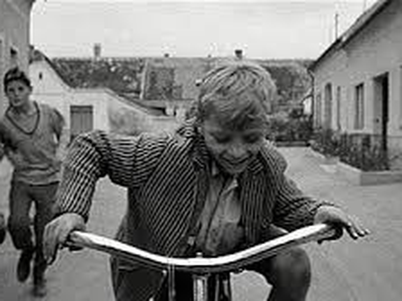 Foto 17 de Viva a República