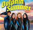 Dolphin Summer