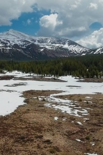 Poster de Episódio Horror in Yosemite (2023)