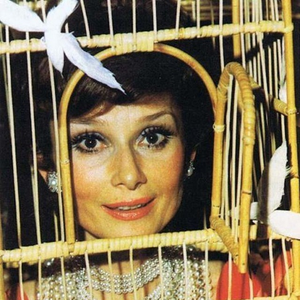 Foto de perfil de Maria Luiza Medeiros