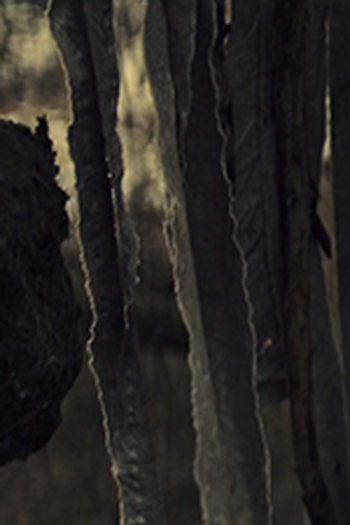 Poster de Episódio Der Mann aus dem Wald (2019)