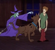 To Switch a Witch