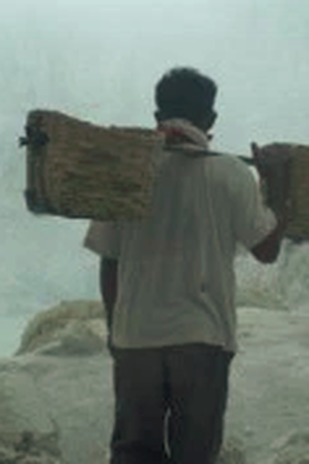 Poster de Curta TERRAFORM (2017)