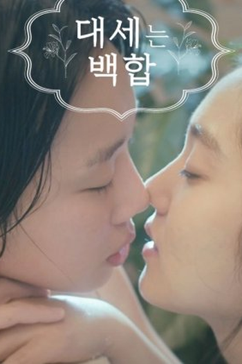 Poster de Série Lily Fever (2015)