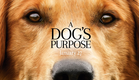 A Dog's Purpose - Official Trailer (HD)