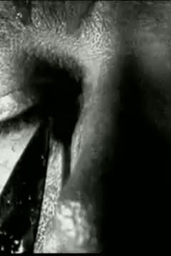 Poster de Curta Alma Cega (1997)