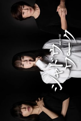 Poster 2 de Série Shadow Work (2025)