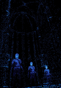 Notes On Blindness: Into Darkness (Notes On Blindness: Into Darkness)