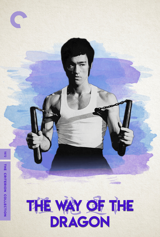 Poster 10 de Filme O Vôo do Dragão (1972)