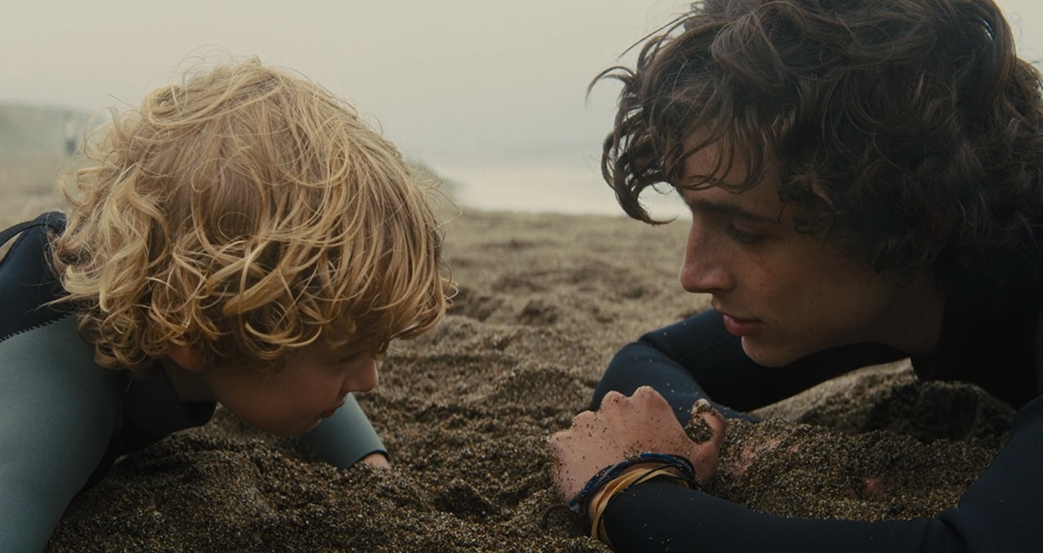Elio Perlman - Foto 4