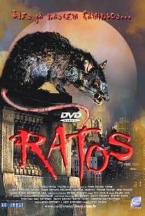 Ratos - Poster / Capa / Cartaz - Oficial 3