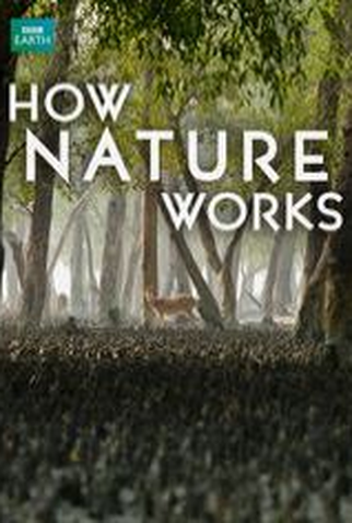 Poster 1 de Série Como a natureza funciona (2012)