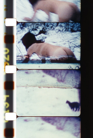 Poster 1 de Curta Note to Erik (1968)