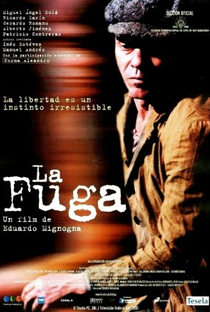 A Fuga  - Poster / Capa / Cartaz - Oficial 1