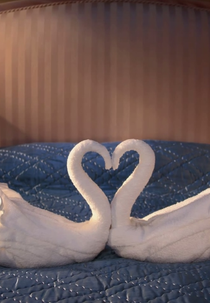 Swan Song (Swan Song)