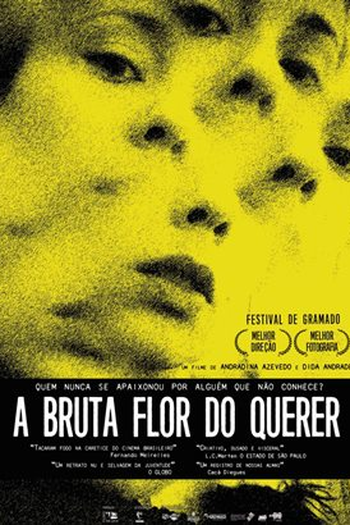  de Filme A Bruta Flor do Querer (2013)