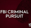 FBI no Século 21 (3ª Temporada)