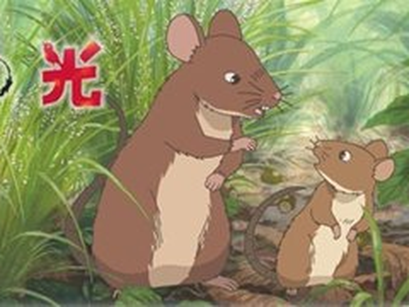 Foto 1 de Rio Iluminado