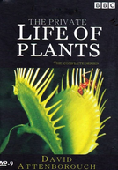 A Vida Privada Das Plantas (The Private Life of Plants)