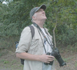 How To Watch Birds