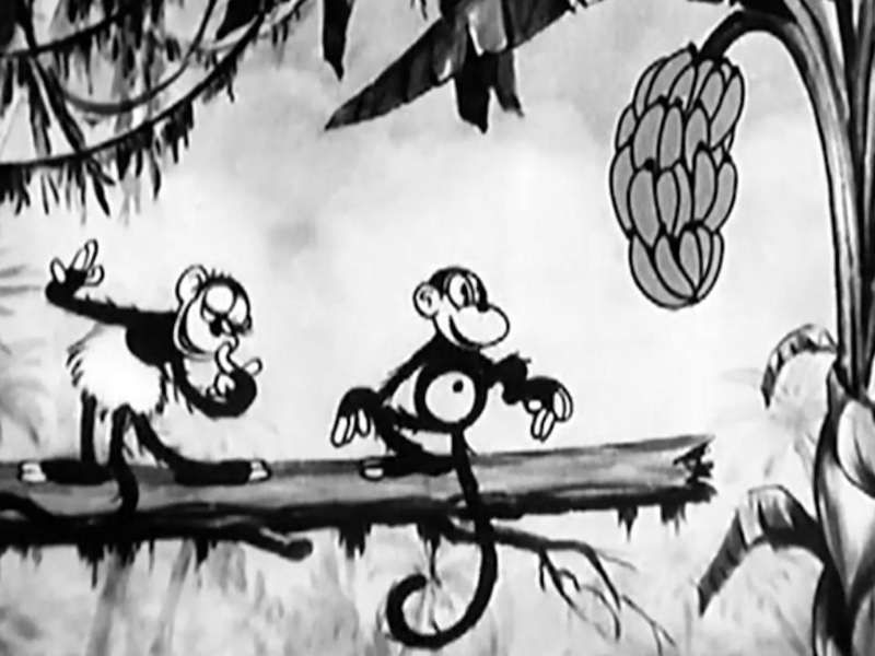 Foto 1 de Melodia dos Macacos