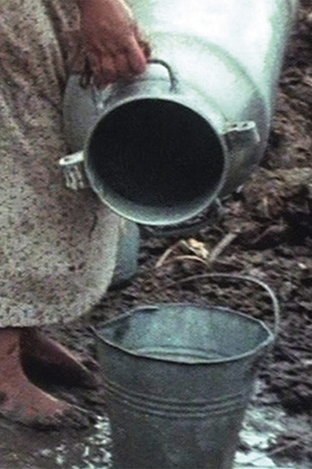 Poster de Curta Permissible Dreams (1982)