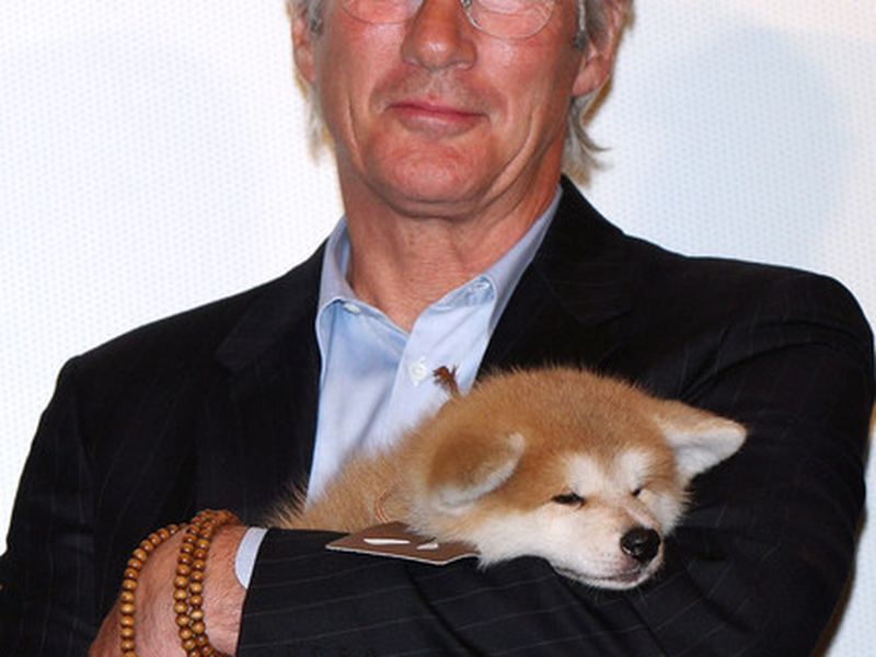 Foto 7 de Sempre ao Seu Lado