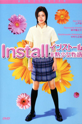 Poster de Filme Install (2004)