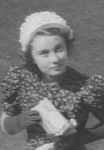 Holandês em 7 Lições (Nederlands in 7 Lessen)